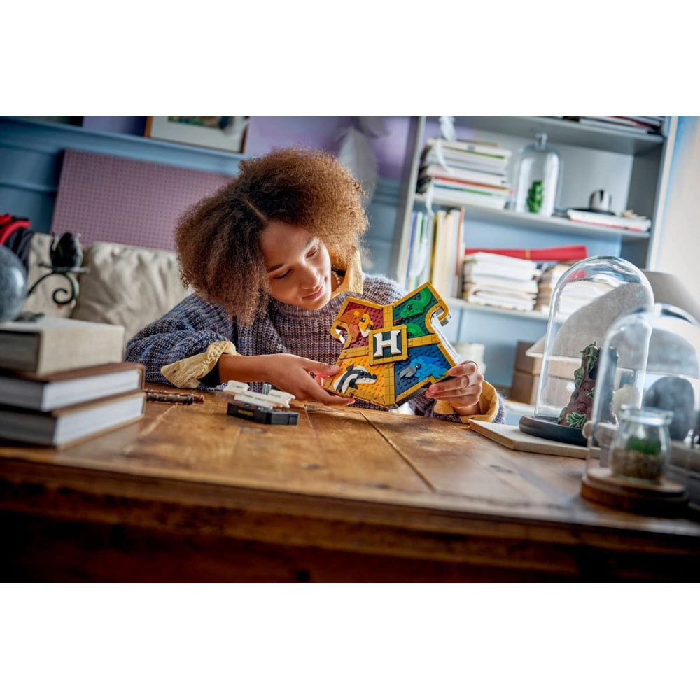 LEGO Harry Potter Harry Potter 545τμχ 76462